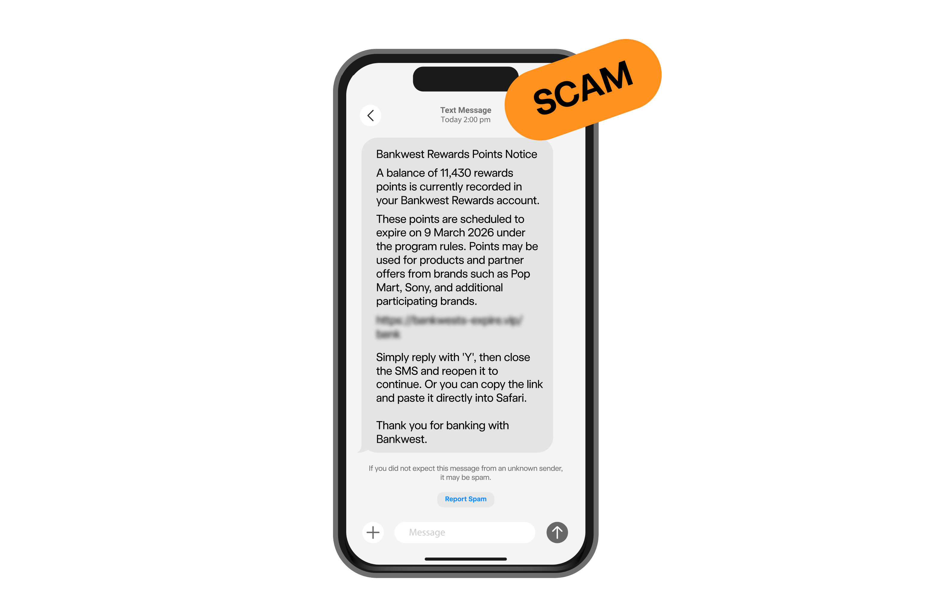 Screenshot of an example of an investment scam